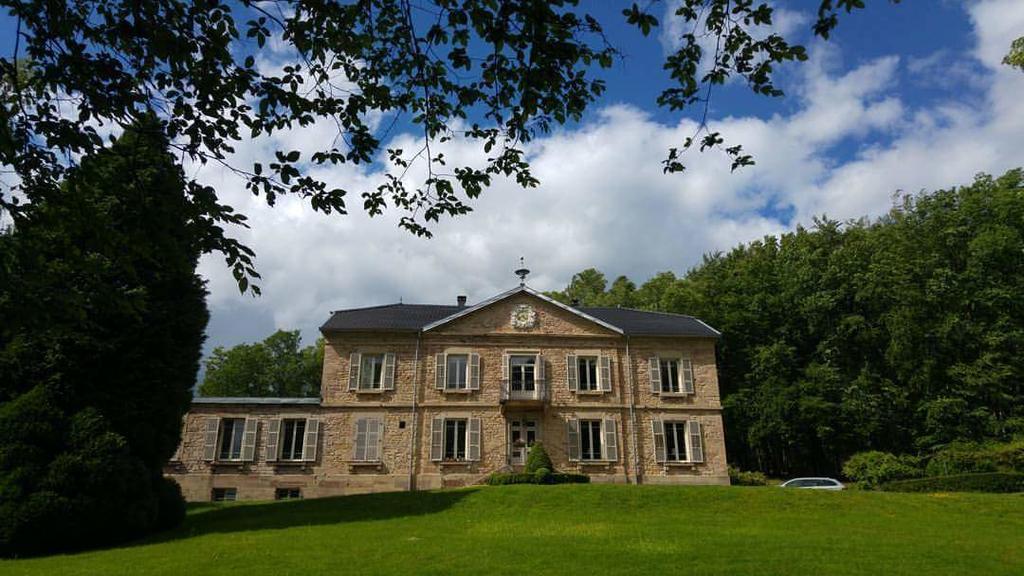 مبيت وإفطار Champagney Chateau De La Houillere المظهر الخارجي الصورة